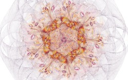 2014 04 14 Plastic 145-white.jpg